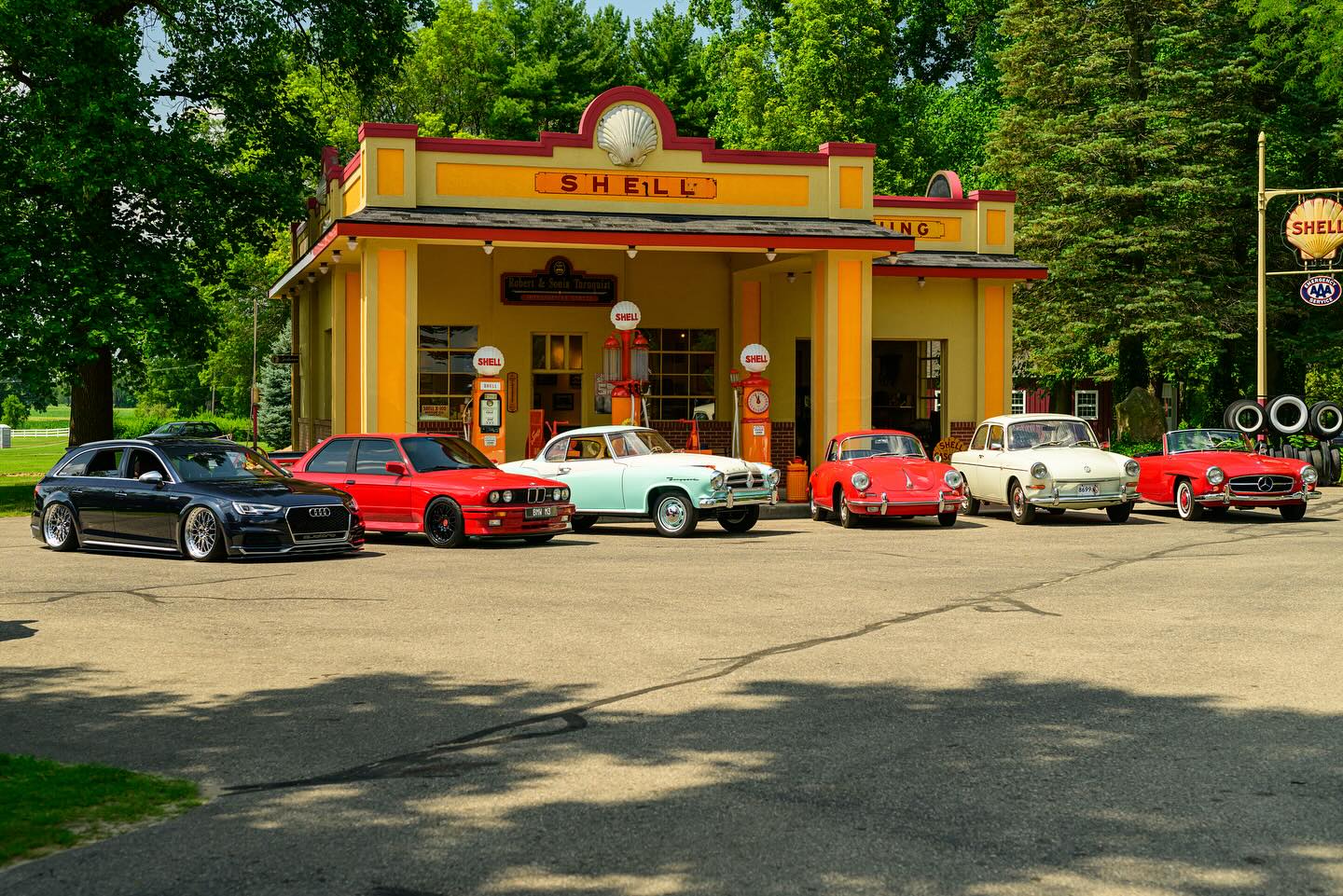 best in show winners 2025